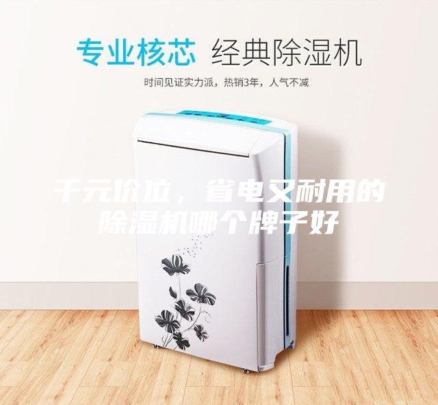 千元价位，省电又耐用的除湿机哪个牌子好