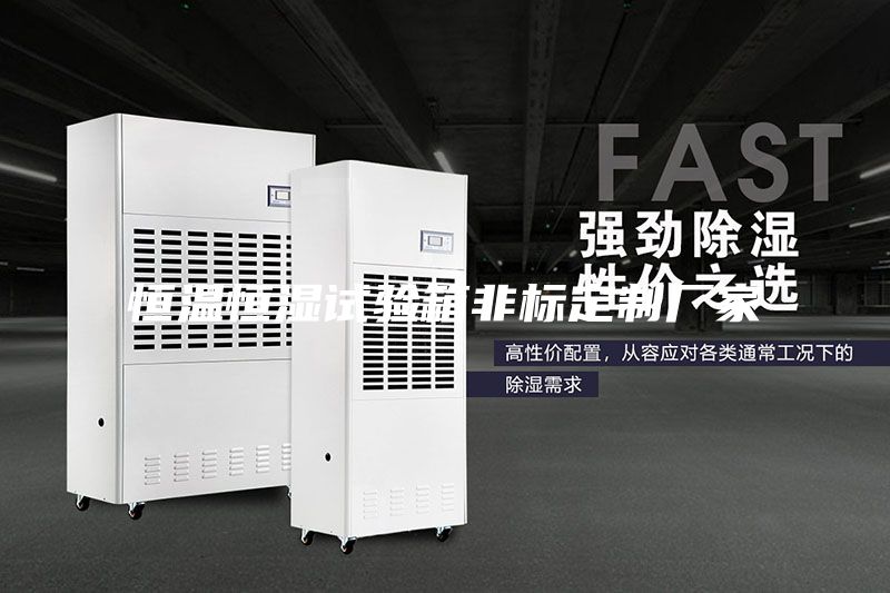 恒温恒湿试验箱非标定制厂家