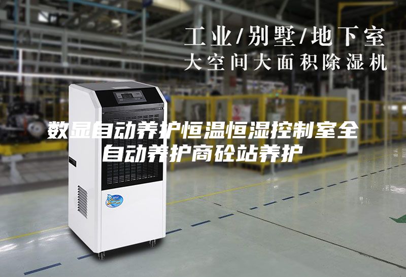 数显自动养护恒温恒湿控制室全自动养护商砼站养护