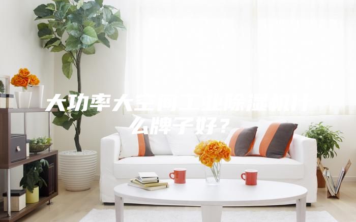 大功率大空间工业除湿机什么牌子好？
