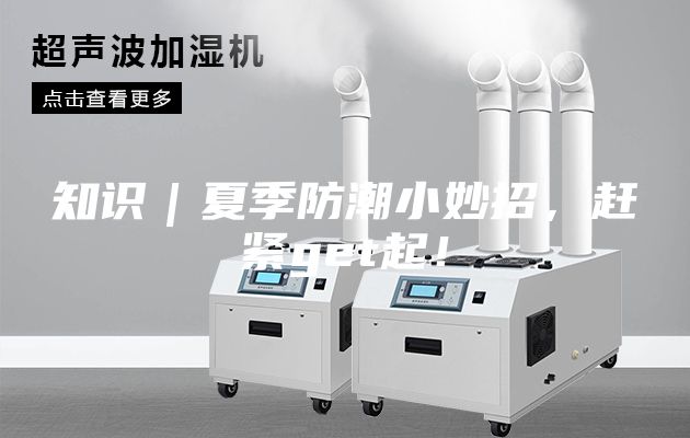 知识｜夏季防潮小妙招，赶紧get起！