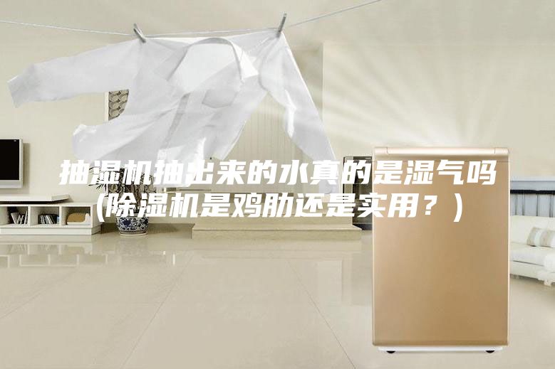 抽湿机抽出来的水真的是湿气吗(除湿机是鸡肋还是实用？)