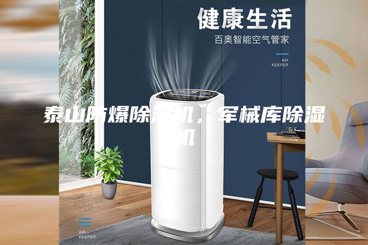 泰山防爆除湿机，军械库除湿机