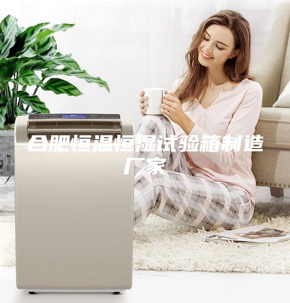 合肥恒温恒湿试验箱制造厂家