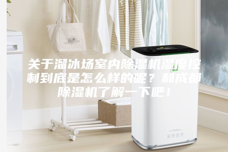 关于溜冰场室内除湿机湿度控制到底是怎么样的呢？和成都除湿机了解一下吧！