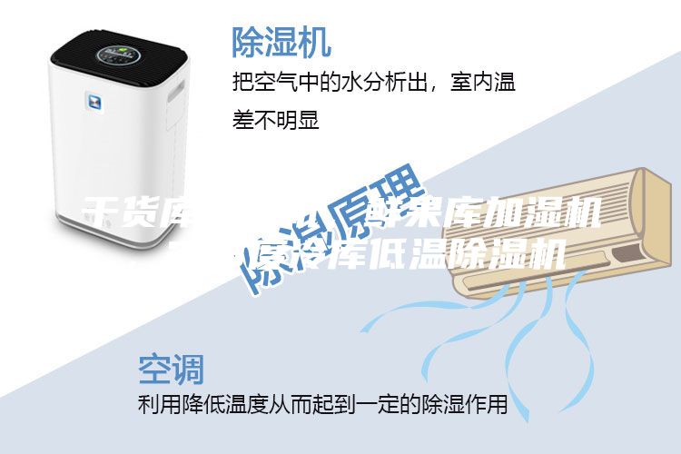 干貨庫除濕機(jī)，鮮果庫加濕機(jī)，2-8度冷庫低溫除濕機(jī)