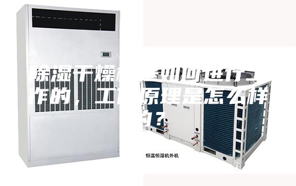 除湿干燥机是如何进行工作的，工作原理是怎么样的？