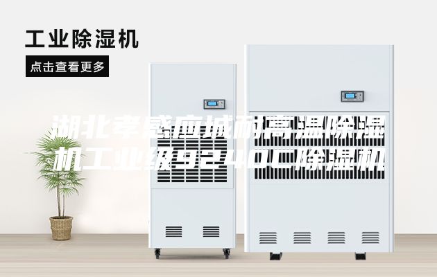 湖北孝感應(yīng)城耐高溫除濕機(jī)工業(yè)級9240C除濕機(jī)