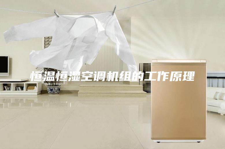 恒溫恒濕空調(diào)機組的工作原理