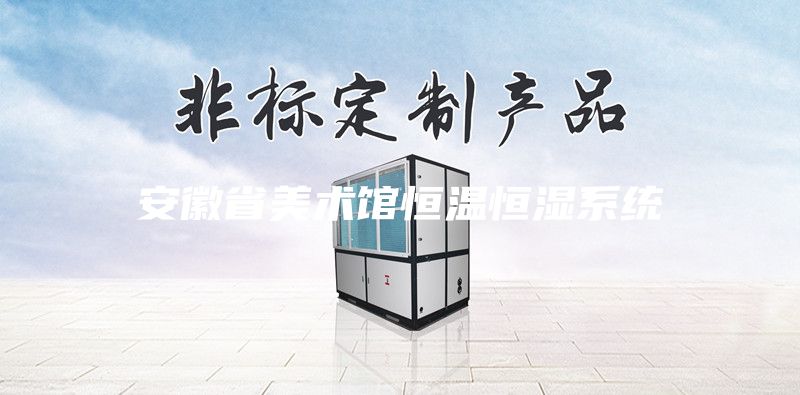 安徽省美术馆恒温恒湿系统