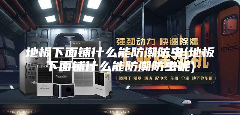 地板下面铺什么能防潮防虫(地板下面铺什么能防潮防虫呢)