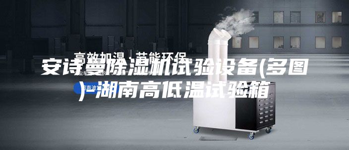 安诗曼除湿机试验设备(多图)-湖南高低温试验箱