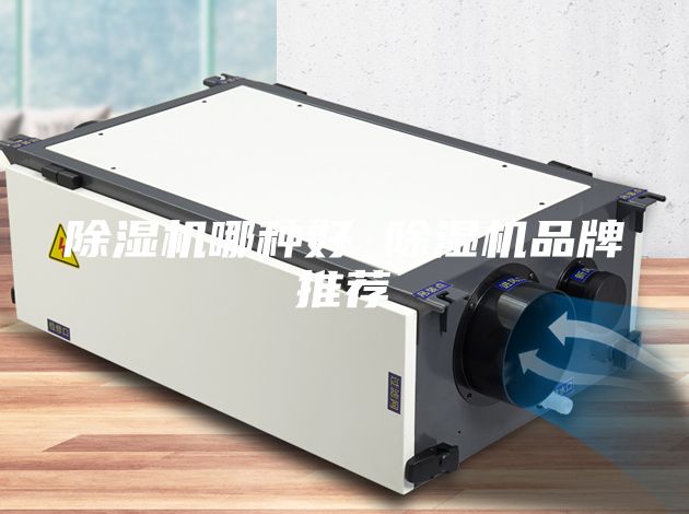 除湿机哪种好 除湿机品牌推荐