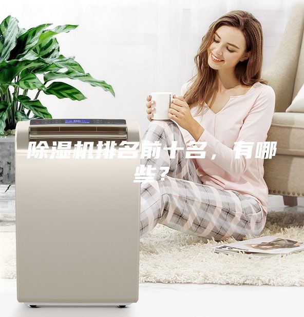 除湿机排名前十名，有哪些？