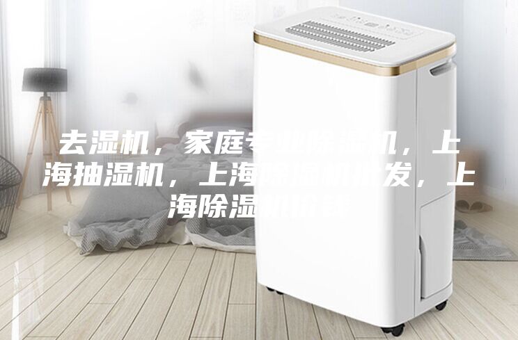 去濕機(jī)，家庭專業(yè)除濕機(jī)，上海抽濕機(jī)，上海除濕機(jī)批發(fā)，上海除濕機(jī)價(jià)錢