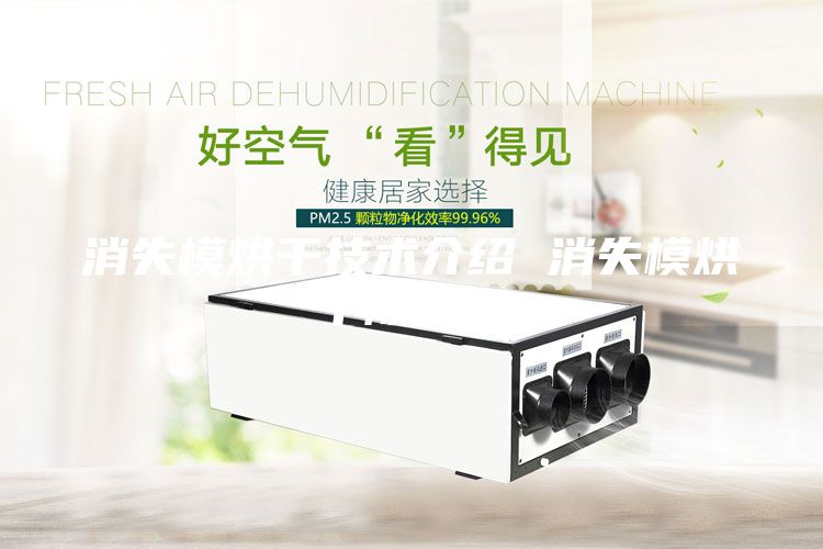 消失模烘干技术介绍 消失模烘干除湿机