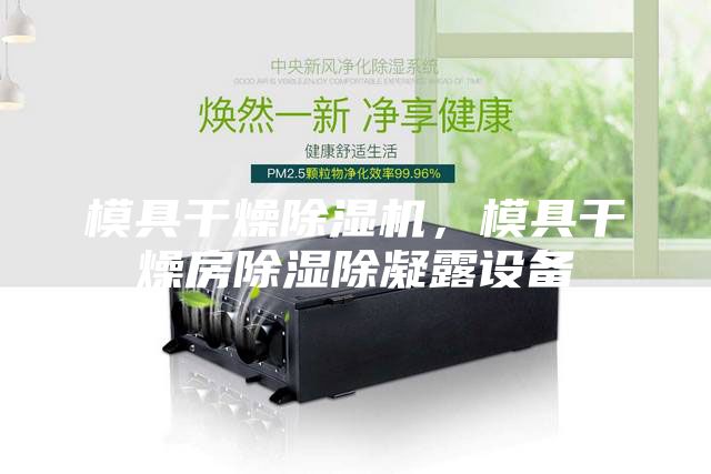 模具干燥除湿机，模具干燥房除湿除凝露设备