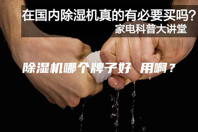 除湿机哪个牌子好 用??？