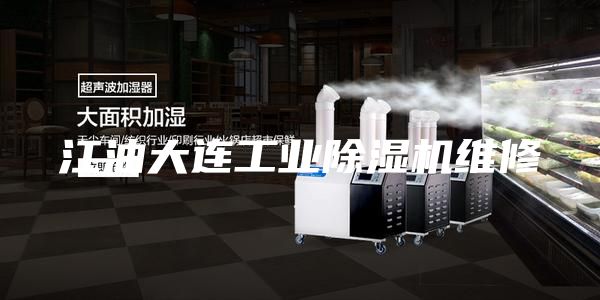 江油大连工业除湿机维修