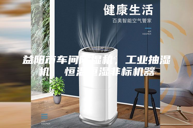 益陽市車間除濕機，工業(yè)抽濕機  恒溫恒濕非標機器