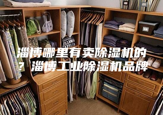 淄博哪里有卖除湿机的？淄博工业除湿机品牌