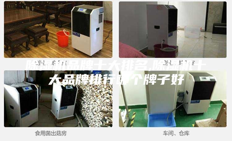 除湿机品牌十大排名,除湿机十大品牌排行哪个牌子好