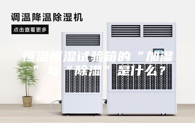 恒温恒湿试验箱的“加湿”与“除湿”是什么？