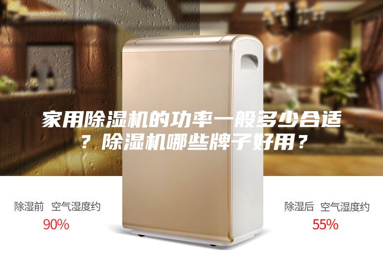 家用除湿机的功率一般多少合适？除湿机哪些牌子好用？
