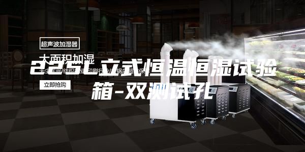 225L立式恒温恒湿试验箱-双测试孔
