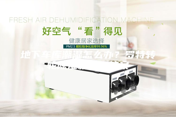 地下车库潮湿怎么办？罗特转轮除湿机给你答案