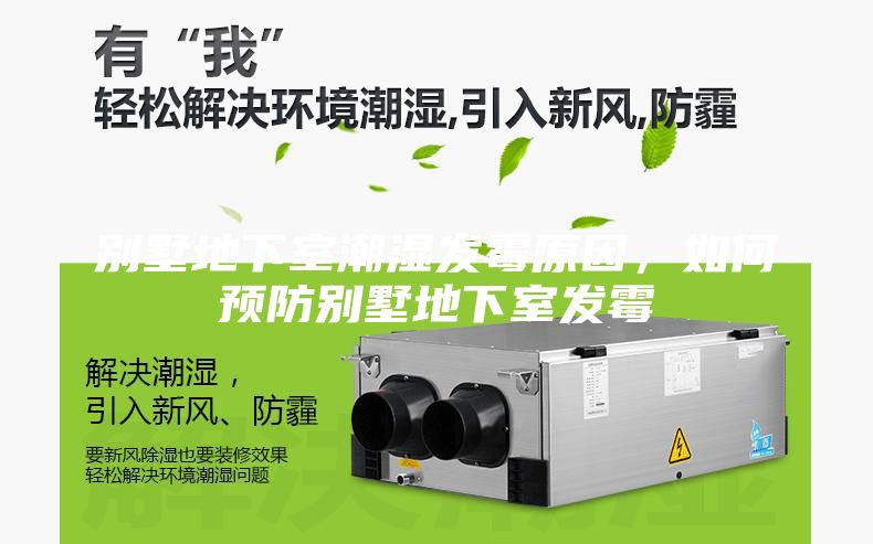 別墅地下室潮濕發(fā)霉原因，如何預防別墅地下室發(fā)霉