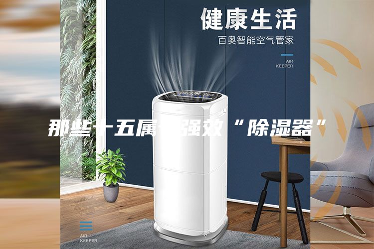 那些十五属于强效“除湿器”