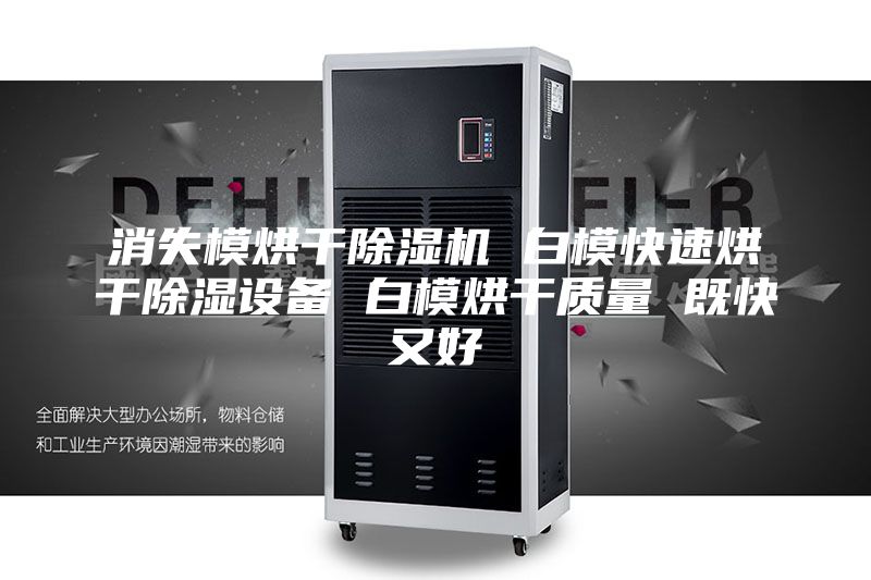 消失模烘干除湿机 白?？焖俸娓沙璞?白模烘干质量 既快又好