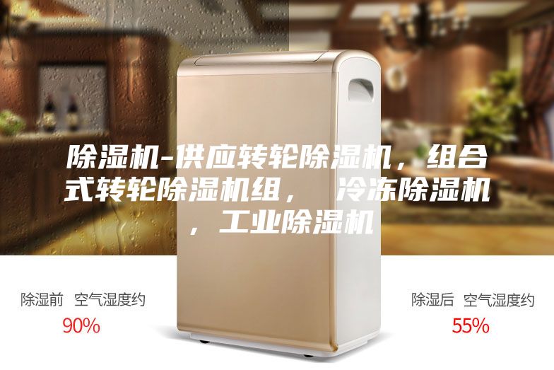 除湿机-供应转轮除湿机，组合式转轮除湿机组， 冷冻除湿机，工业除湿机