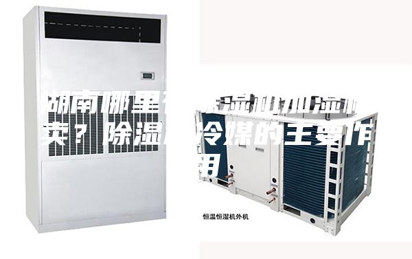 湖南哪里有除濕機(jī)加濕機(jī)賣(mài)?除濕機(jī)冷媒的主要作用