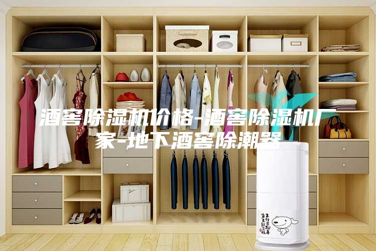 酒窖除濕機(jī)價(jià)格-酒窖除濕機(jī)廠家-地下酒窖除潮器