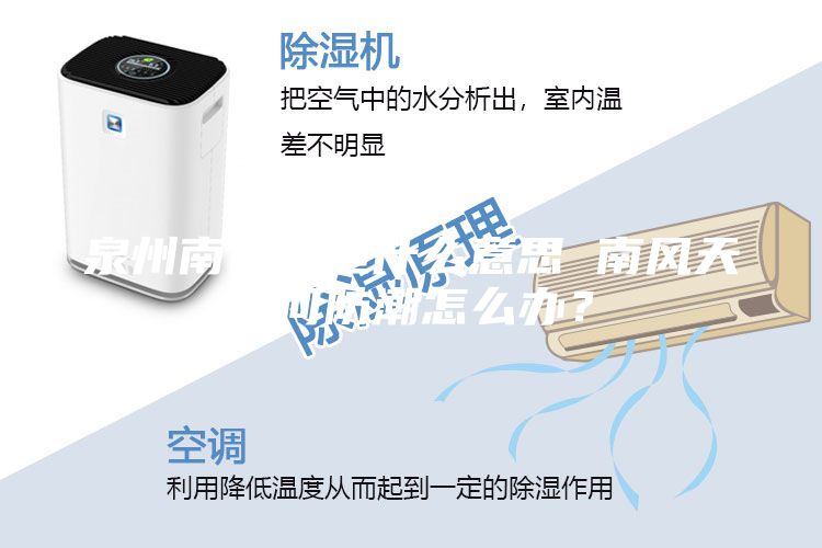 泉州南風(fēng)天是什么意思 南風(fēng)天如何防潮怎么辦？