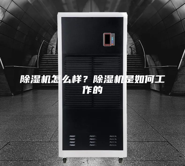 除湿机怎么样？除湿机是如何工作的