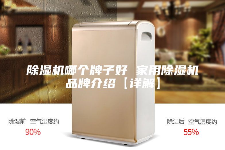 除濕機(jī)哪個(gè)牌子好 家用除濕機(jī)品牌介紹【詳解】
