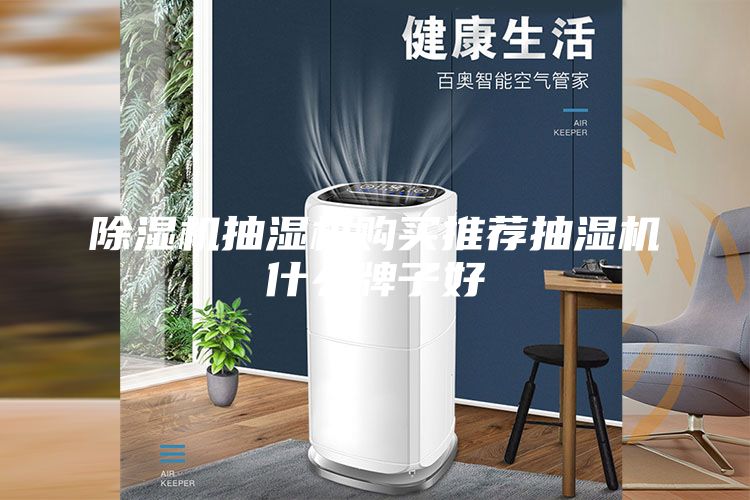 除濕機(jī)抽濕機(jī)購(gòu)買推薦抽濕機(jī)什么牌子好