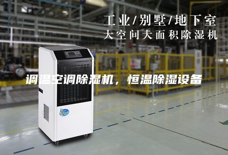 調(diào)溫空調(diào)除濕機(jī),恒溫除濕設(shè)備