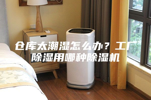 倉(cāng)庫(kù)太潮濕怎么辦？工廠除濕用哪種除濕機(jī)