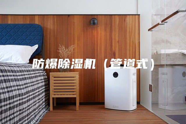 防爆除濕機(jī)(管道式)