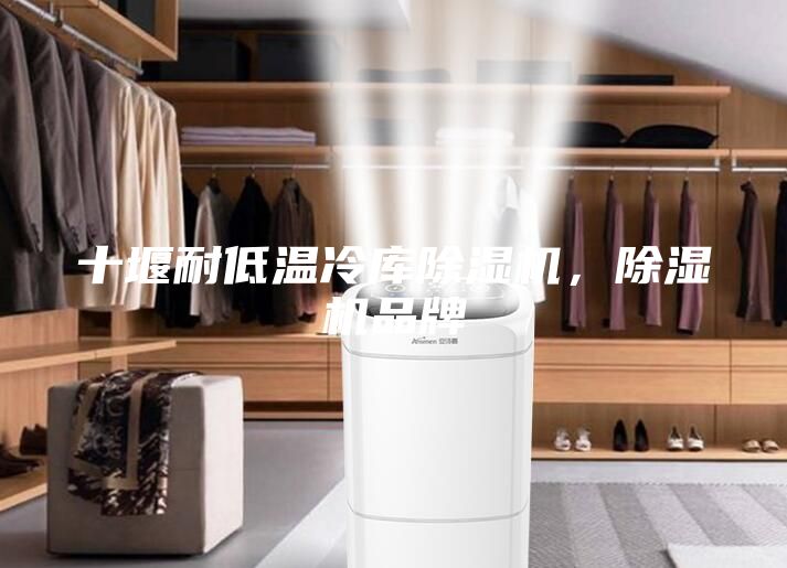 十堰耐低溫冷庫除濕機，除濕機品牌