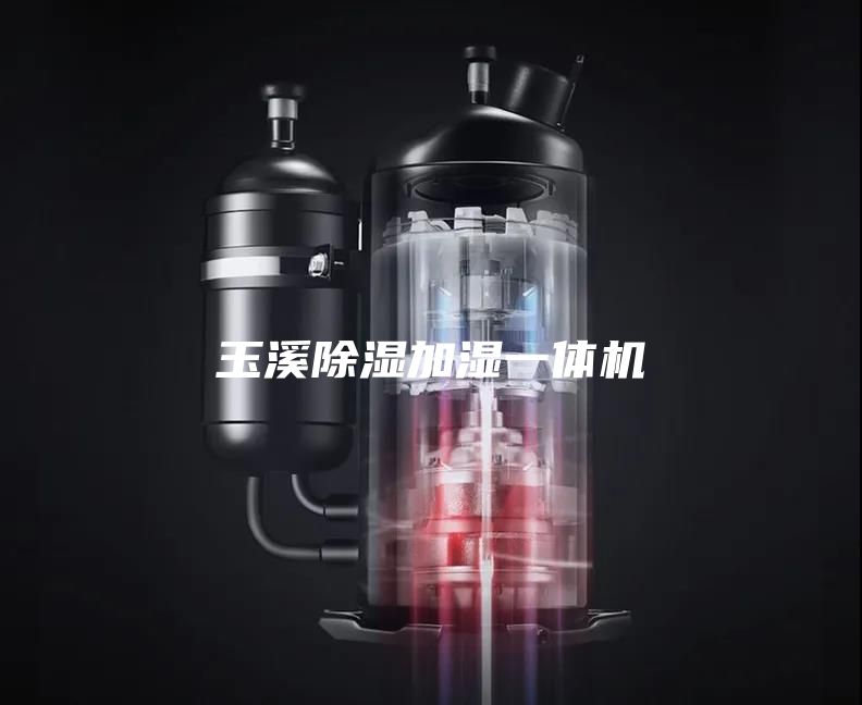 玉溪除湿加湿一体机