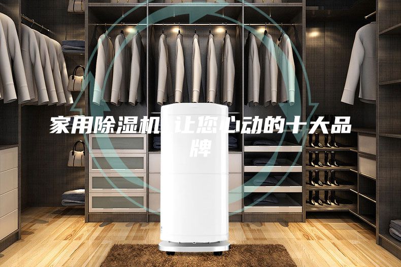 家用除湿机_让您心动的十大品牌