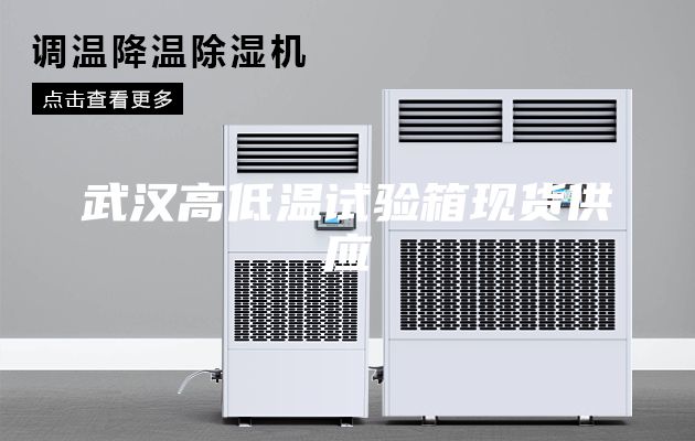 武漢高低溫試驗箱現(xiàn)貨供應