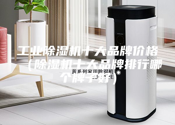 工業(yè)除濕機十大品牌價格(除濕機十大品牌排行哪個牌子好)