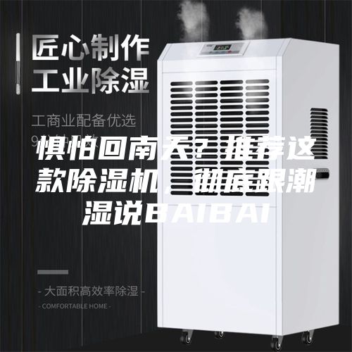 惧怕回南天？推荐这款除湿机，彻底跟潮湿说BAIBAI