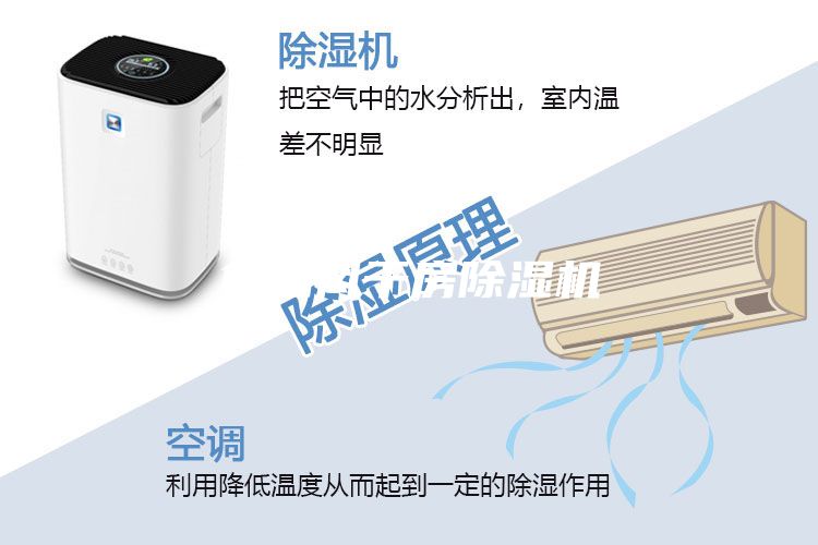 食品風(fēng)干房除濕機